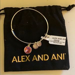 Alex and Ani Bracelet